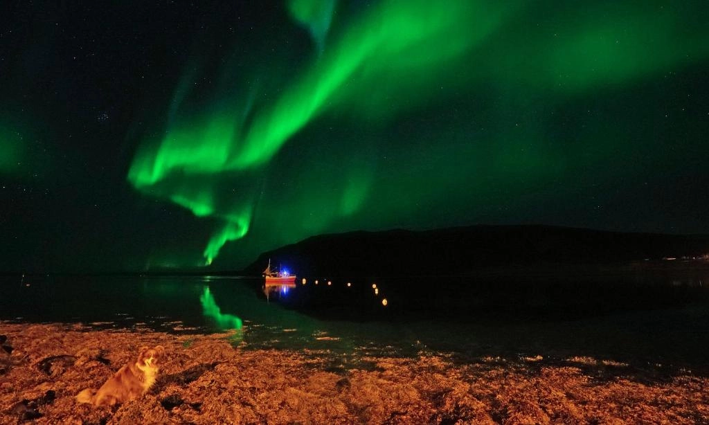 Northern lights over the Porsangerfjord seen from Smørfjord